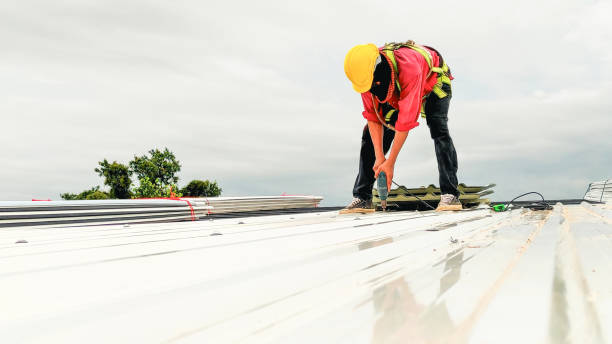 Best Roof Inspection  in Woodfin, NC
